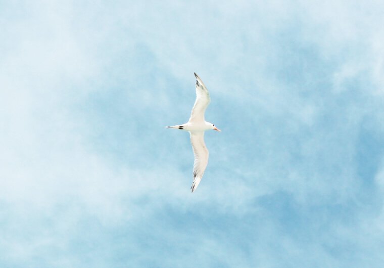 New Clients are fuel for business growth